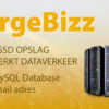 DigiReus - LargeBizz Webhosting Pakket