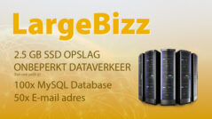 DigiReus - LargeBizz Webhosting Pakket